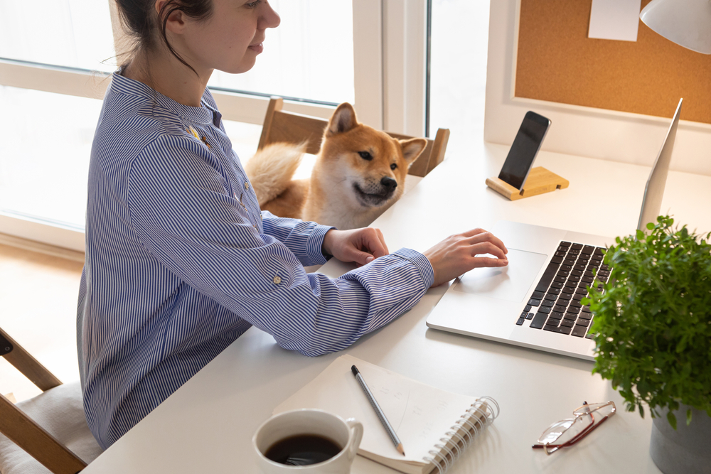 woman working from home with her dog next to her